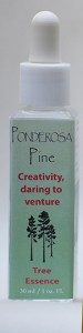 Ponderosa Pine English Bottle