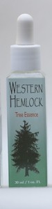 Western Hemlock English Bottle