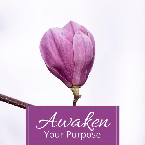 Awaken Your Purpose ~ Hypnosis