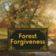 Forest Forgiveness