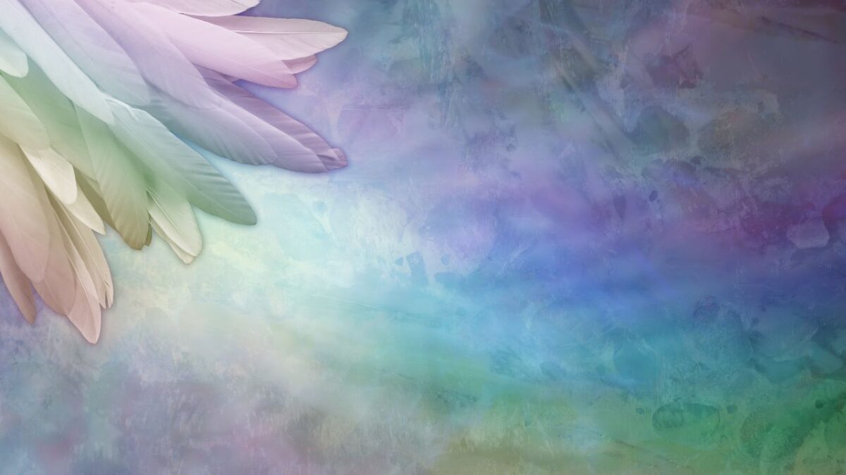 An artistic depiction of a rainbow-colored angel wing, set on a vivid, multicolored backdrop.