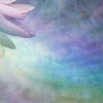 An artistic depiction of a rainbow-colored angel wing, set on a vivid, multicolored backdrop.
